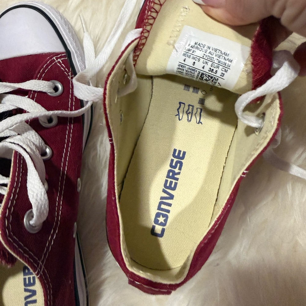 Converse Low Top Sneakers in Burgundy and White Size: M4 / W6 NIB